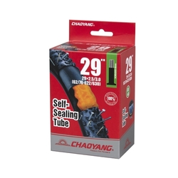 Chaoyang Sealant 29 x 2.50-3.00