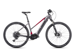 Crussis e-Cross low 9.10-(720 Wh)