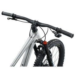 Giant Faith One Size Raw Aluminum 24"