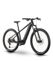 Raymon HardRay Ultra 800 29"