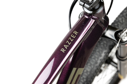 PELLS Razzer 1 W Purple