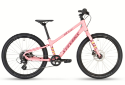 STEVENS Beat SL Disc 24 Wild Rose
